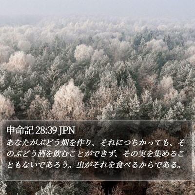 申命記 28:39 JPN Bible Verse Image