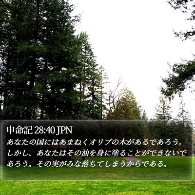 申命記 28:40 JPN Bible Verse Image