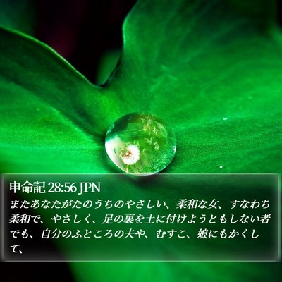 申命記 28:56 JPN Bible Verse Image