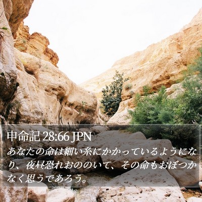 申命記 28:66 JPN Bible Verse Image