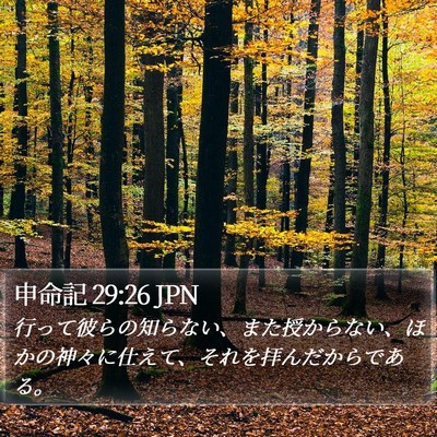 申命記 29:26 JPN Bible Verse Image