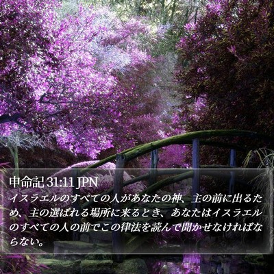 申命記 31:11 JPN Bible Verse Image