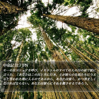 申命記 31:7 JPN Bible Verse Image