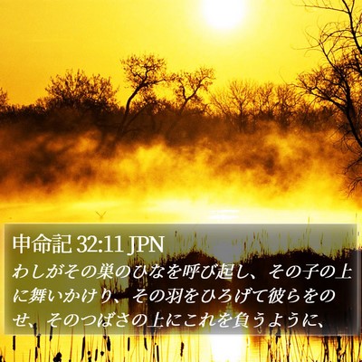 申命記 32:11 JPN Bible Verse Image