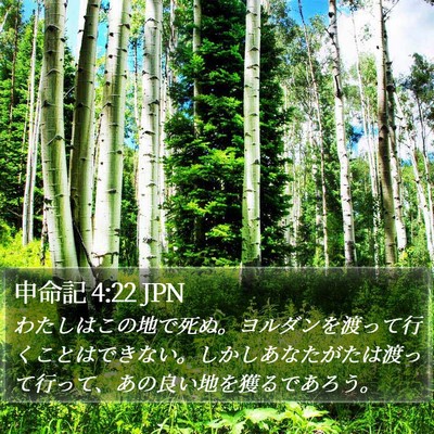 申命記 4:22 JPN Bible Verse Image