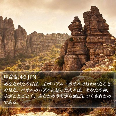 申命記 4:3 JPN Bible Verse Image