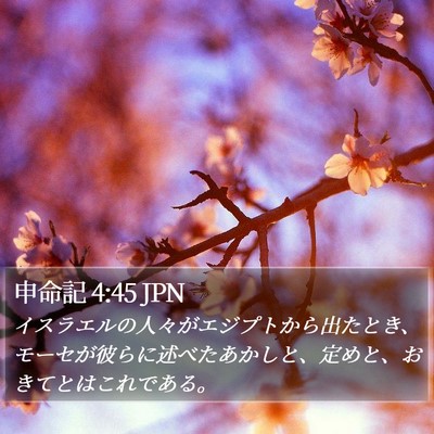 申命記 4:45 JPN Bible Verse Image
