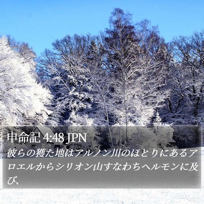 申命記 4:48 JPN Bible Verse Image