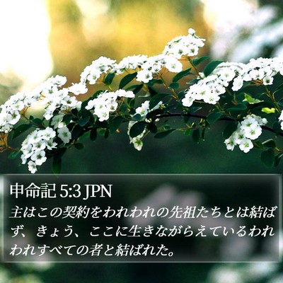 申命記 5:3 JPN Bible Verse Image