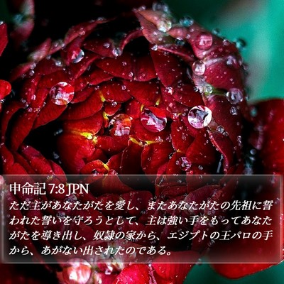 申命記 7:8 JPN Bible Verse Image