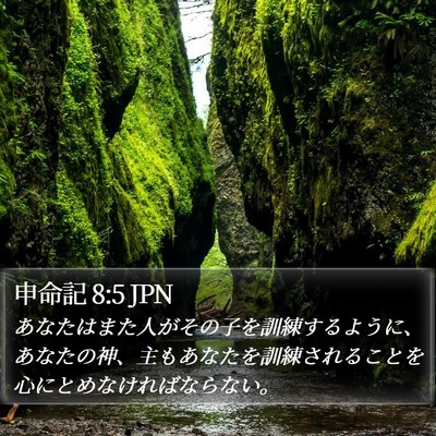 申命記 8:5 JPN Bible Verse Image