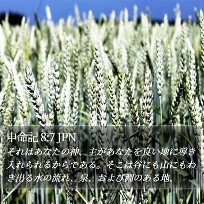 申命記 8:7 JPN Bible Verse Image