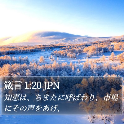箴言 1:20 JPN Bible Verse Image