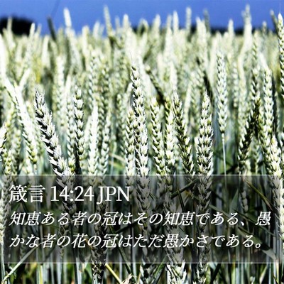 箴言 14:24 JPN Bible Verse Image