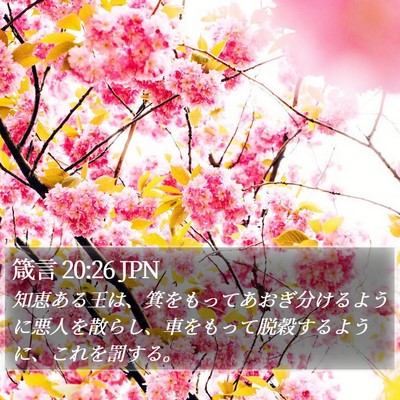 箴言 20:26 JPN Bible Verse Image