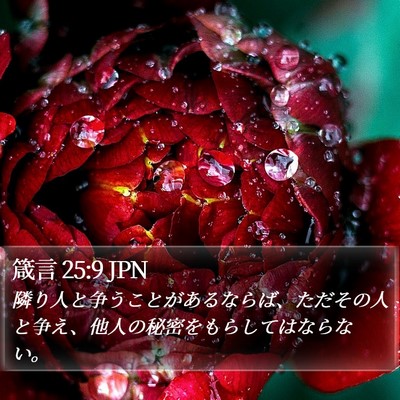 箴言 25:9 JPN Bible Verse Image