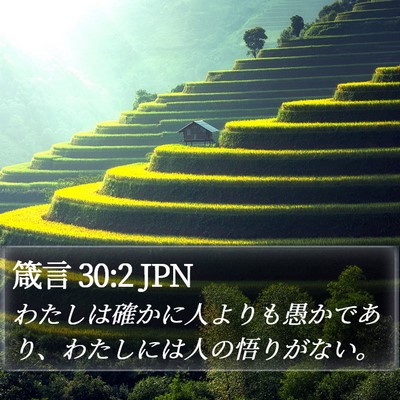 箴言 30:2 JPN Bible Verse Image