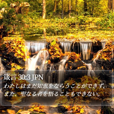 箴言 30:3 JPN Bible Verse Image