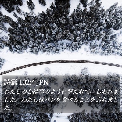 詩篇 102:4 JPN Bible Verse Image