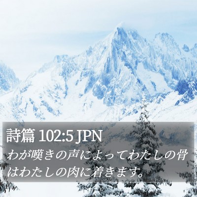 詩篇 102:5 JPN Bible Verse Image