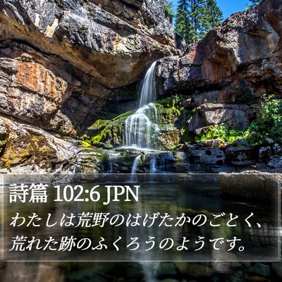 詩篇 102:6 JPN Bible Verse Image