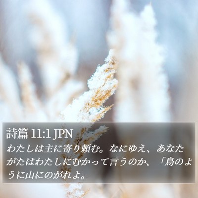 詩篇 11:1 JPN Bible Verse Image