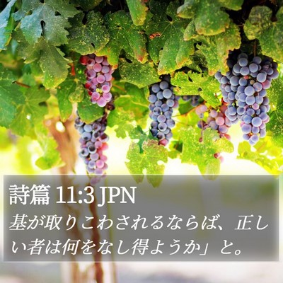 詩篇 11:3 JPN Bible Verse Image