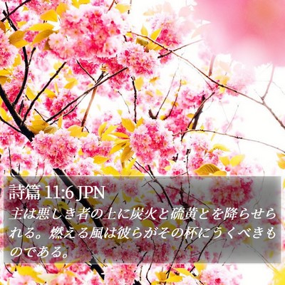 詩篇 11:6 JPN Bible Verse Image