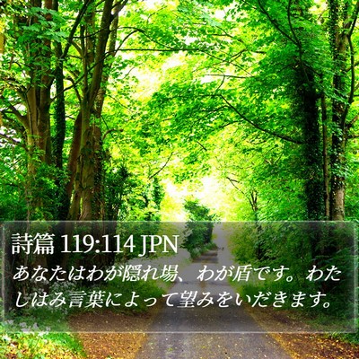 詩篇 119:114 JPN Bible Verse Image