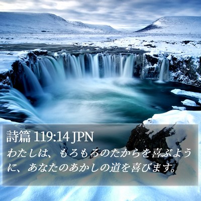詩篇 119:14 JPN Bible Verse Image