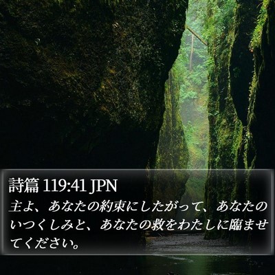 詩篇 119:41 JPN Bible Verse Image