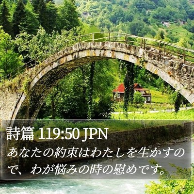 詩篇 119:50 JPN Bible Verse Image