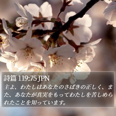詩篇 119:75 JPN Bible Verse Image