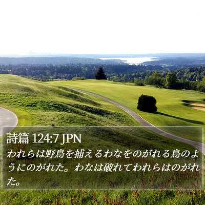 詩篇 124:7 JPN Bible Verse Image