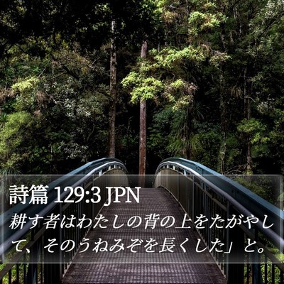 詩篇 129:3 JPN Bible Verse Image