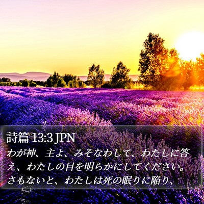 詩篇 13:3 JPN Bible Verse Image