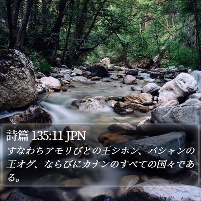 詩篇 135:11 JPN Bible Verse Image
