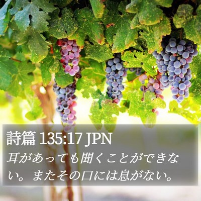 詩篇 135:17 JPN Bible Verse Image