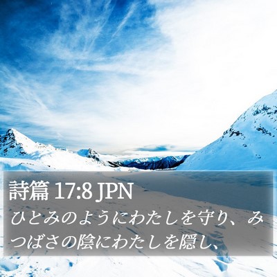 詩篇 17:8 JPN Bible Verse Image