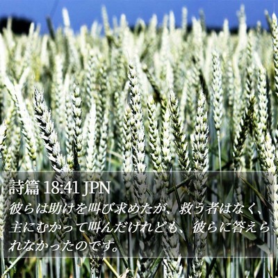 詩篇 18:41 JPN Bible Verse Image
