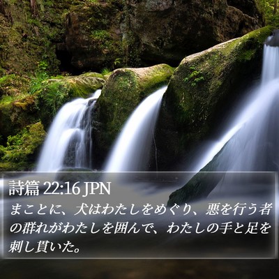 詩篇 22:16 JPN Bible Verse Image