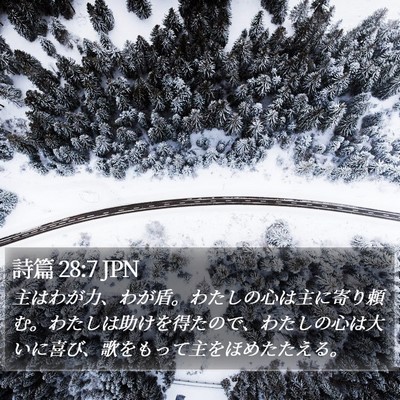 詩篇 28:7 JPN Bible Verse Image