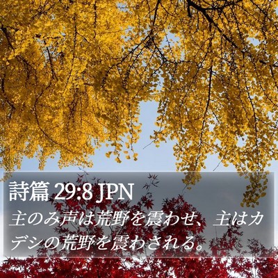 詩篇 29:8 JPN Bible Verse Image
