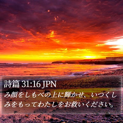 詩篇 31:16 JPN Bible Verse Image