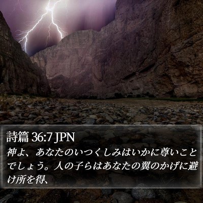 詩篇 36:7 JPN Bible Verse Image