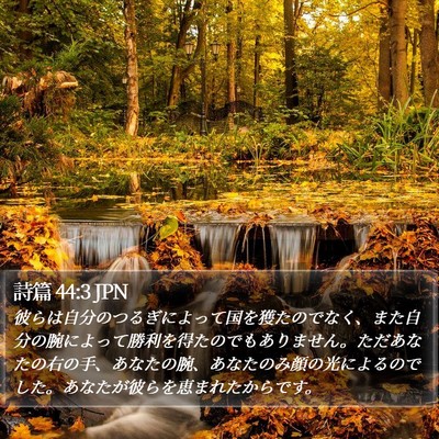 詩篇 44:3 JPN Bible Verse Image