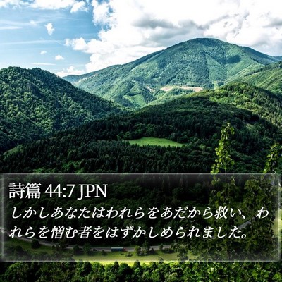 詩篇 44:7 JPN Bible Verse Image