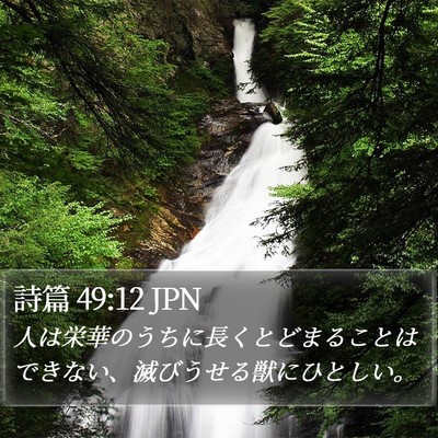 詩篇 49:12 JPN Bible Verse Image