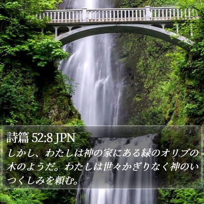 詩篇 52:8 JPN Bible Verse Image
