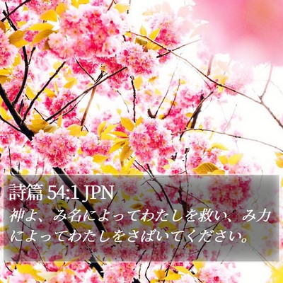 詩篇 54:1 JPN Bible Verse Image